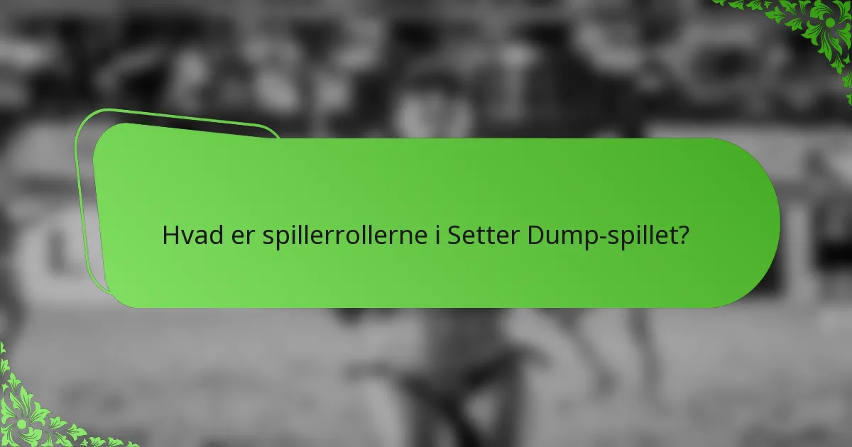 Hvad er spillerrollerne i Setter Dump-spillet?